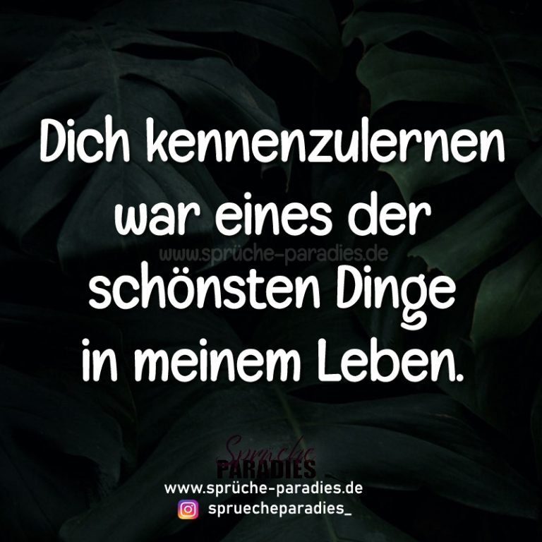 Liebessprüche, die ans Herz gehen Leben macht Spass